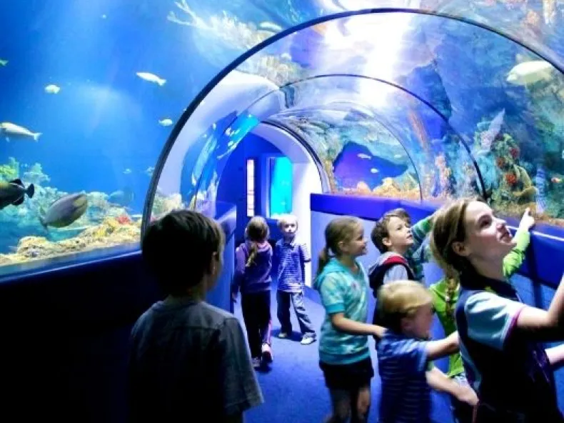Antalya Aquarium: Eintrittskarte & Hoteltransfer