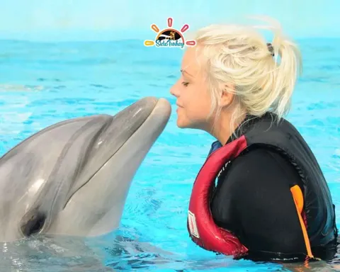 из Анталии Шоу-шоу с дельфинами 