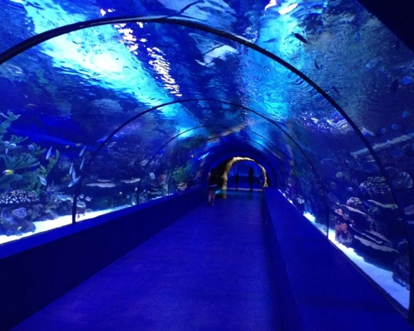 Aquarium d'Antalya