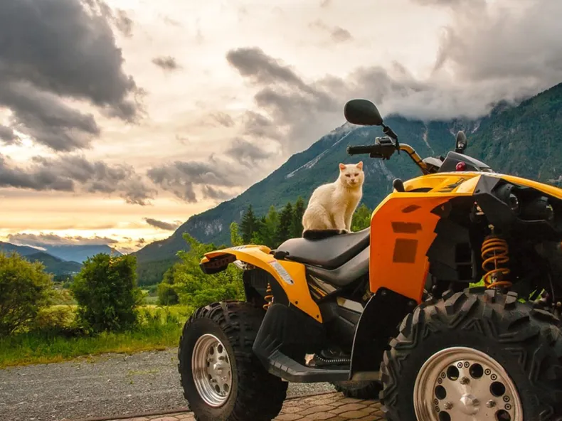 2025 Side Fahrzeugvermietung: Quad, ATV, Buggy & Motorrad – Führerscheinanforderungen