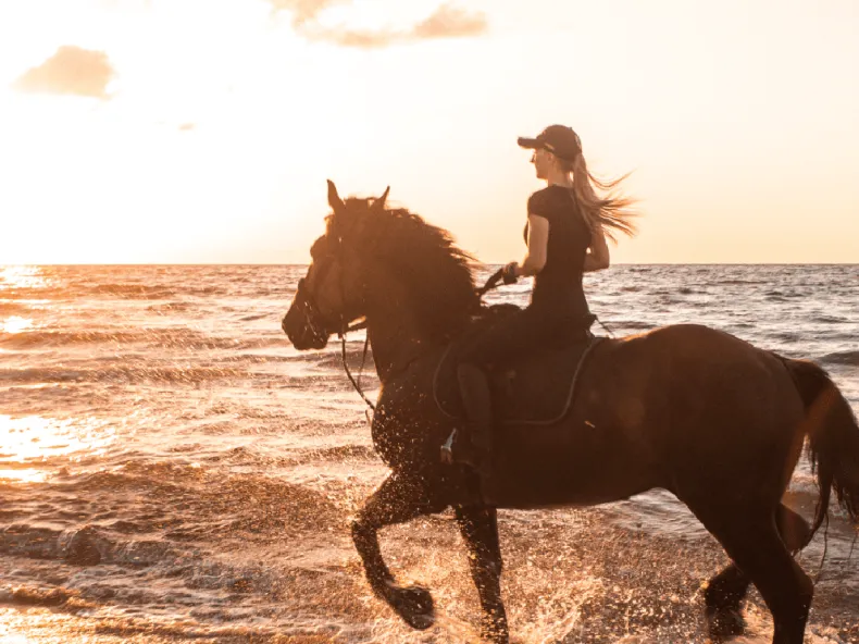 Enjoy a Horse Safari on the Beach from Evrenseki 🐎🌅 - An Unforgettable Experience in Side - 2