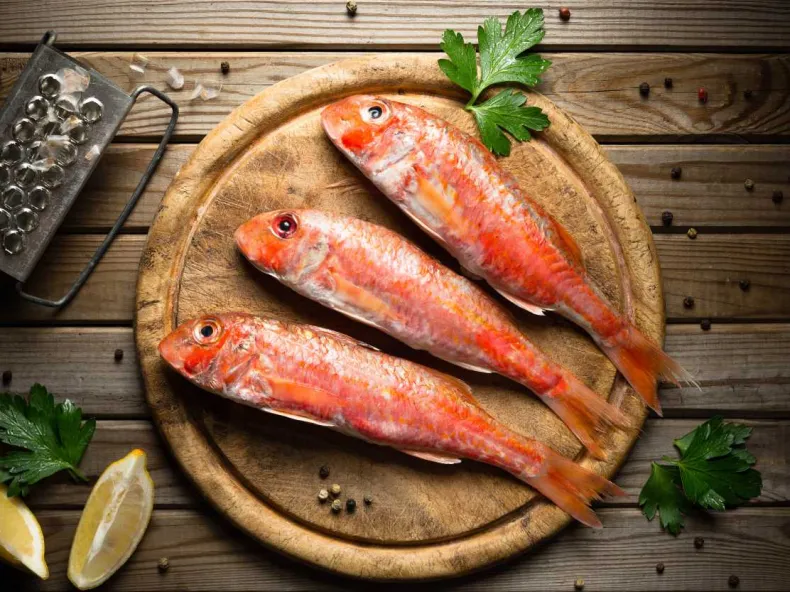 Things to Do in Side Turkey: Mediterranean Fish - The Most Delicious Fish and Where to Eat?