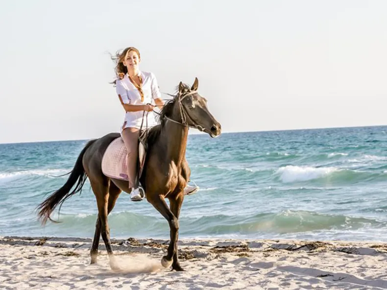 Unforgettable Horse Safari in the Forest and on the Beach from Side