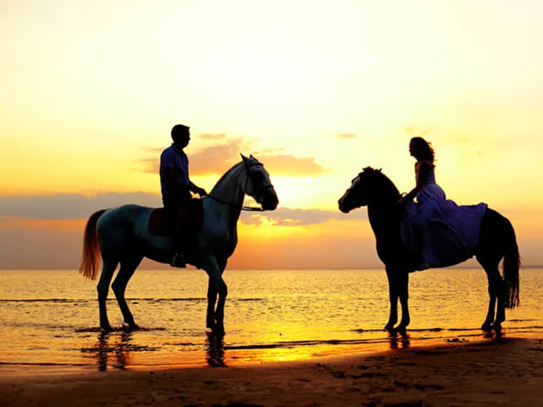 Unforgettable Horse Safari in the Forest and on the Beach from Side - 2