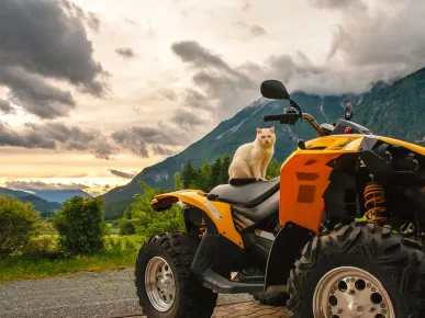 2025 Side Fahrzeugvermietung: Quad, ATV, Buggy & Motorrad – Führerscheinanforderungen