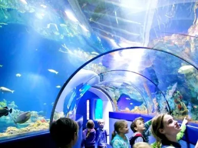 Antalya: Aquarium Tour - Discover Marine Life and More