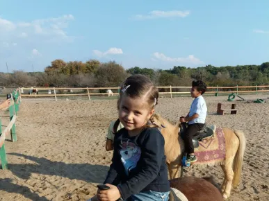 Discover the Beauty of Belek on Horseback: A Perfect Activity for Nature Lovers