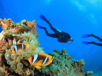 Diving Tours in Side: Explore Underwater