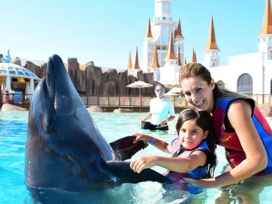 Dolphin Show and Swim with Dolphins Tour from Belek