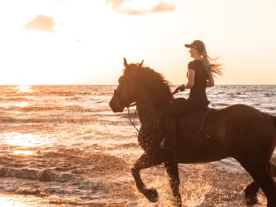 How to Get to Horse Riding from Belek Hotels? Tips for a Guided Experience