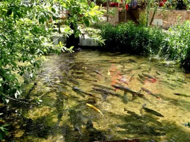 Kumköy'den Altın Beşik ve Ormana Mağarası Turu