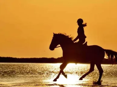 Scenic Horseback Riding Adventure in Belek