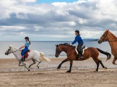 Scenic Horseback Riding Adventure in Belek