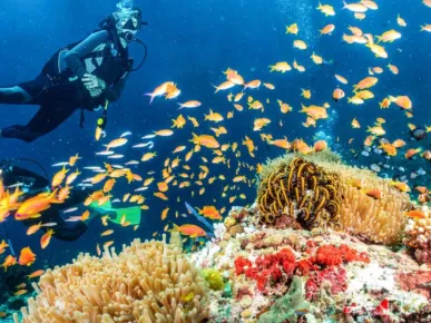 Scuba Diving Adventure from Kumköy