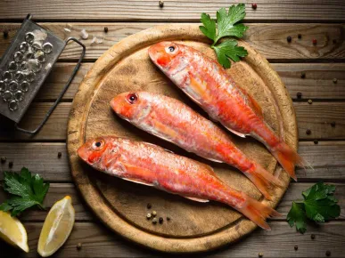 Things to Do in Side Turkey: Mediterranean Fish - The Most Delicious Fish and Where to Eat?